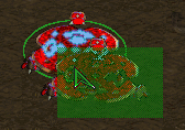 PlaceCOP02.png