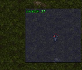 Location37.jpg