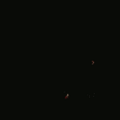 Grid 2.gif